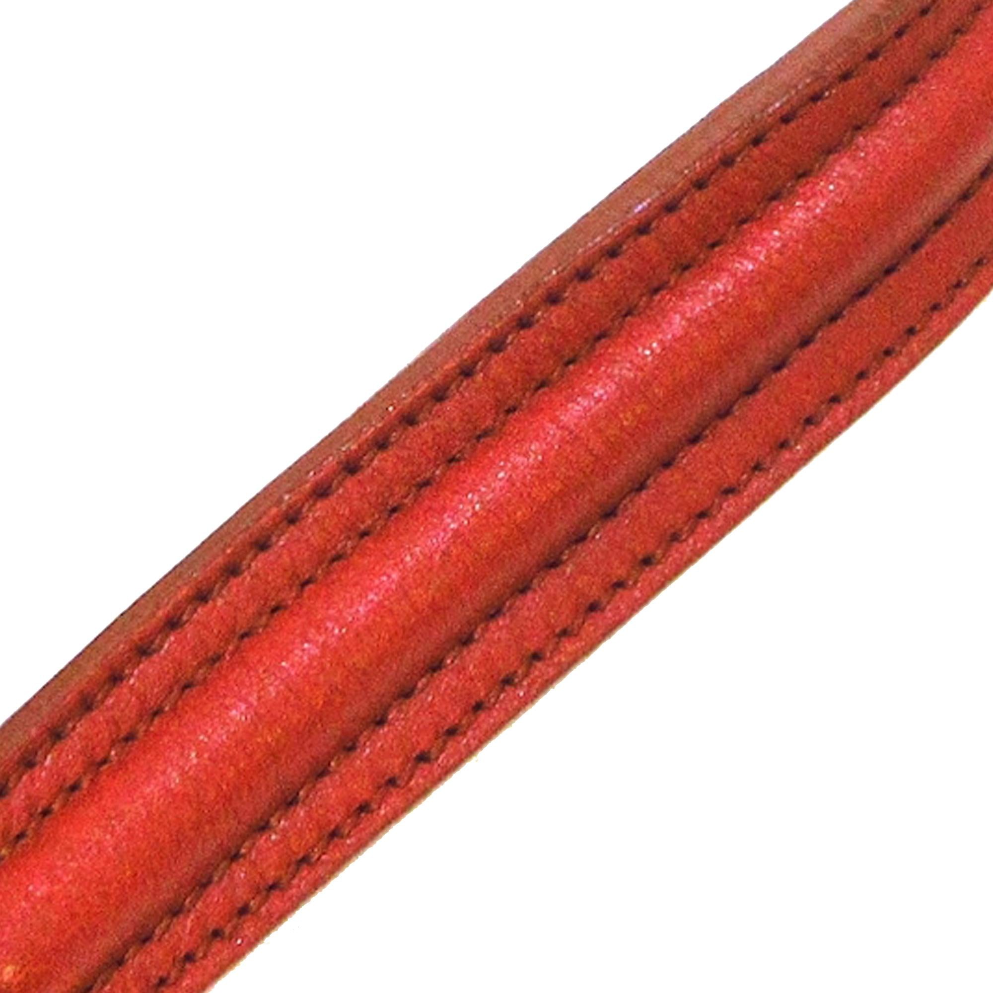 Saint Laurent Muse Two Leather Handbag (SHG-36184)